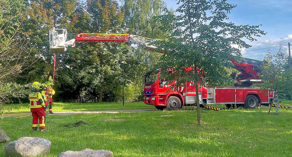 Die Feuerwehr Wolfen setzte bei der Baumpflanz-Challenge eine Mooreiche in der Fuhneaue.