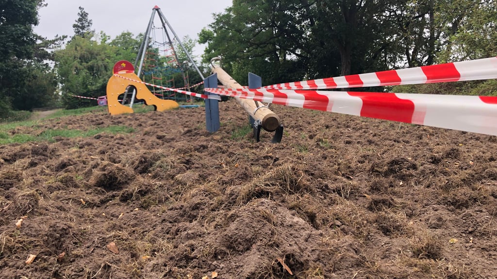 Wegen der Verwüstung, die Wildschweine auf dem Spielplatz auf dem Osterberg in Gernrode angerichtet haben, ist der Platz aktuell gesperrt.