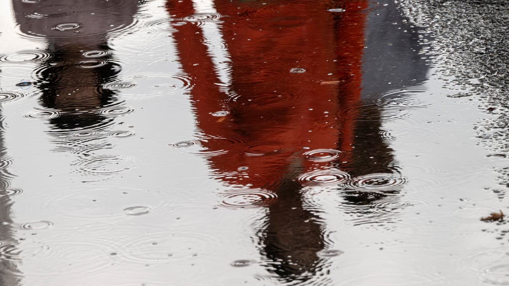 In Sachsen-Anhalt zeigt sich der Sommer im August in dieser Woche wechselhaft.