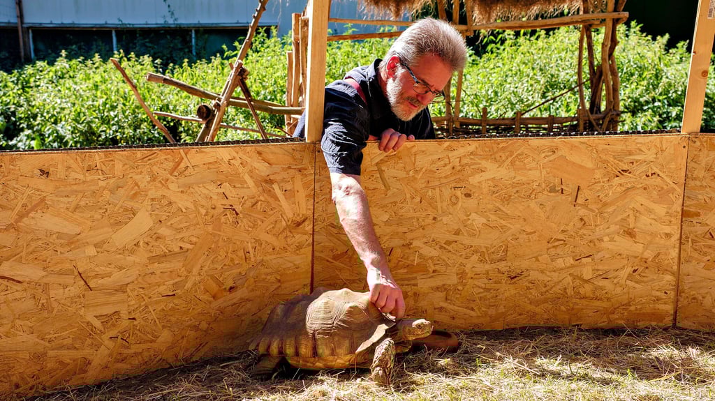 Gestatten: Friedrich der Große. Die Landschildkröte ist der jüngste Neuzugang im Schmetterlingspark Wittenberg von Kersten Liebold.