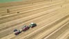 Sachsen-Anhalt hat besonders viele landwirtschaftliche Flächen. (Symbolfoto)