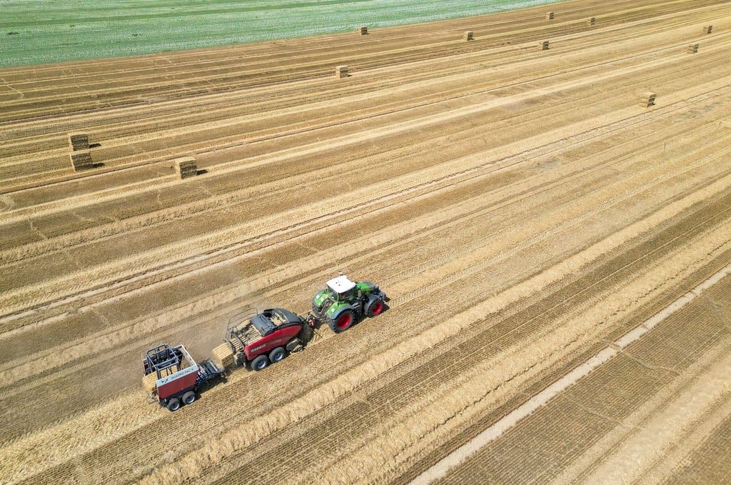 Sachsen-Anhalt hat besonders viele landwirtschaftliche Flächen. (Symbolfoto)
