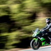 Zwei niederländische Motorradfahrer kamen im Harz ums Leben.&nbsp;