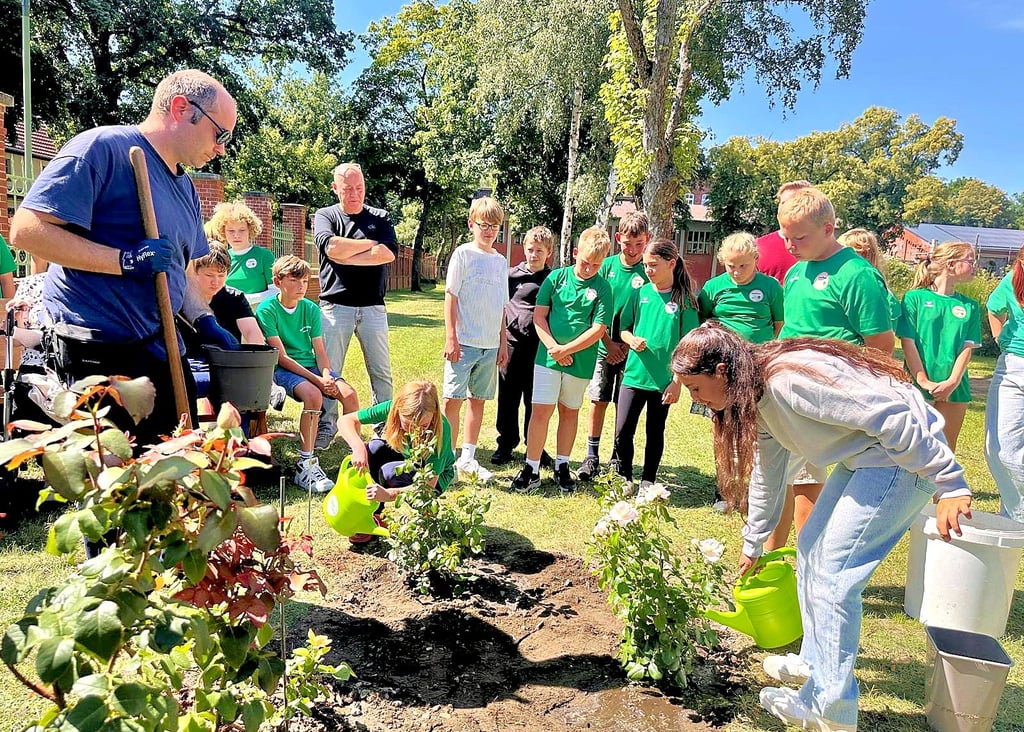Mittlerweile eine Tradition: Die Fünftklässler der Annaburger Sekundarschule pflanzen mit dem Beginn des Schuljahres eine Rose in den Park des DRK-Altenpflegeheims auf der anderen Straßenseite.