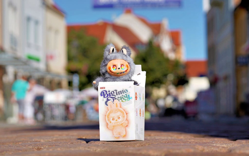 Labubu sind nun auch in Köthen angekommen. Hier zu sehen ist der besonders begehrte „Secret-Labubu“ in der Farbe grau/schwarz.
