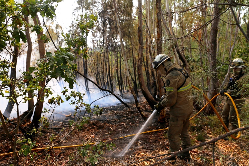 In Portugal gibt es eine leichte Entspannung bei den schweren Waldbränden. Noch aber sind rund 1.400 Feuerwehrleute im Einsatz.