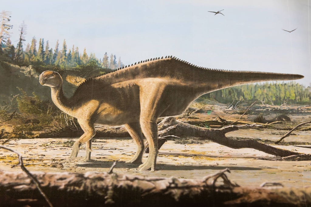 Künstlerische Darstellung von Istiorachis macaruthurae