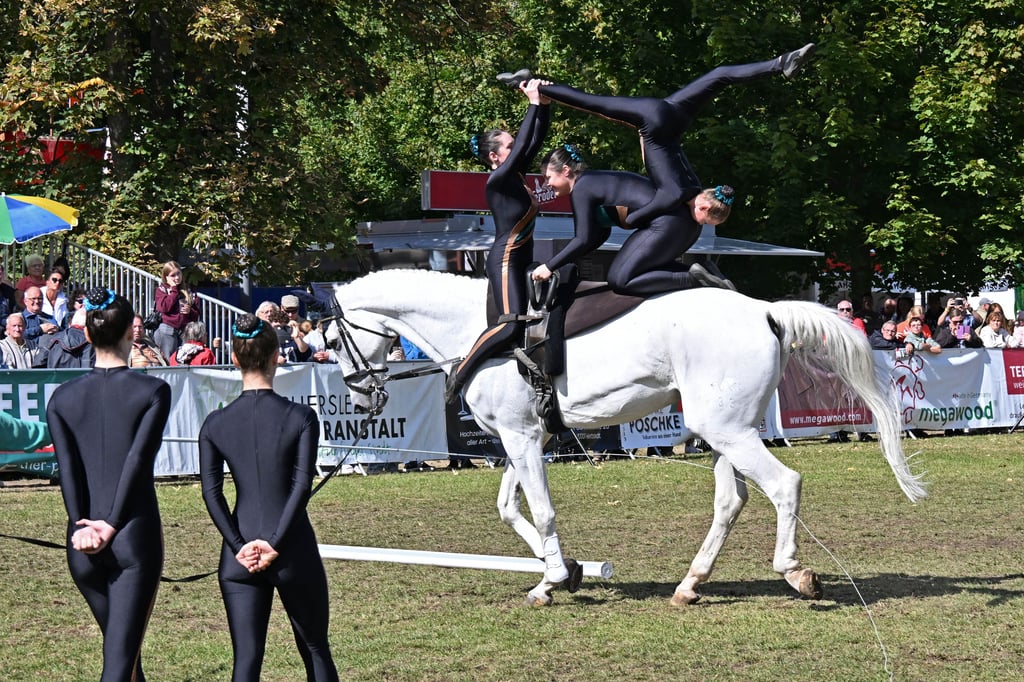 Die Voltgiergruppe vom Pferdehof Schick aus Schwittersdorf.