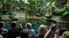 Besucher fotografieren das Flusspferd Toni im Berliner Zoo.