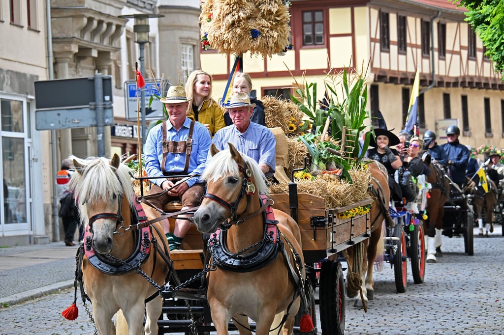 Der Erntewagen führte den großen Kutschenkorso an.