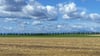 Die sonnige Ruhe vor dem Sturm: In Sachsen-Anhalt kehren ab Wochenmitte Schauer und Gewitter ein.&nbsp;
