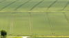 Die Bauern sind trotz Wetterstress mit der Getreide- und Rapsernte zufrieden.