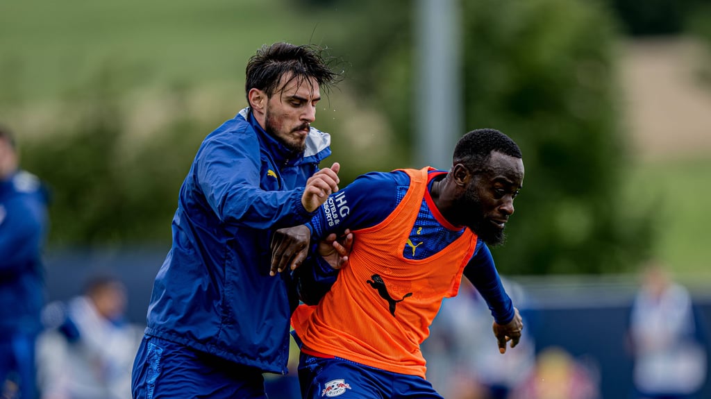 Eljif Elmas und Lutsharel Geertruida.