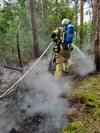 Aufgrund der Trockenheit drohte sich das Feuer in einem Waldstück bei Burg schnell auszubreiten.