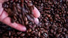 Mit dem Deal will der US-Konzern Keurig Dr Pepper einen globalen Kaffeechampion aufbauen. (Symbolbild)