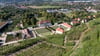 Die Weinlese in Sachsen beginnt.