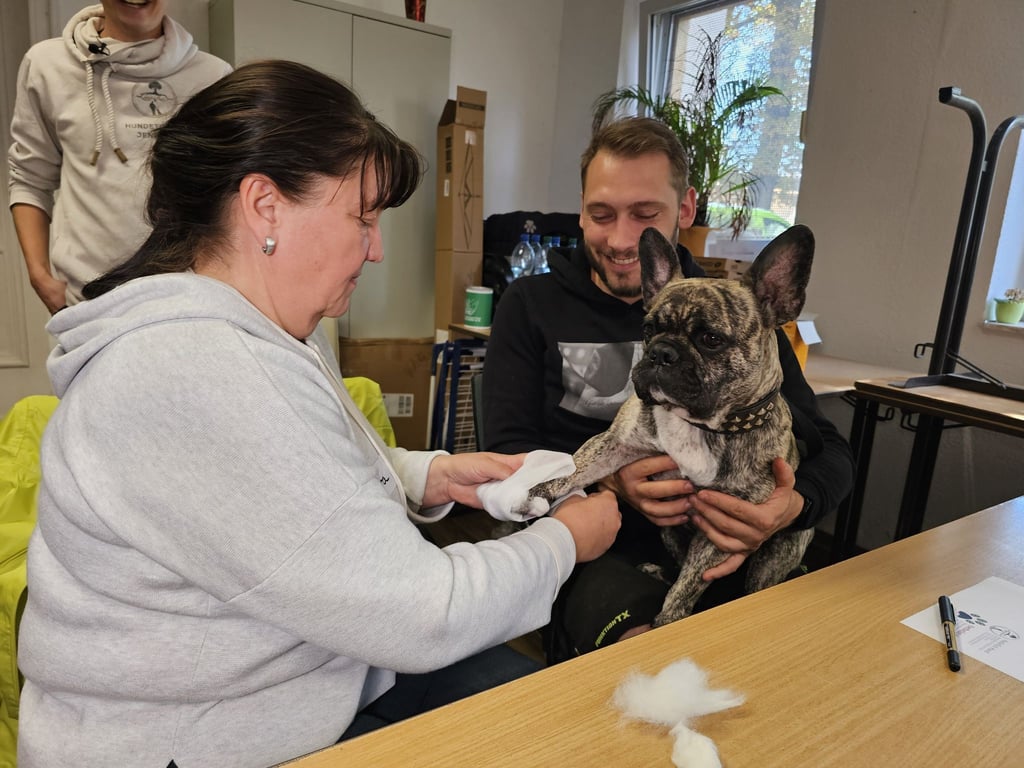 Im Erste-Hilfe-Kurs für Hunde werden Pfoten verbunden, um auf den Ernstfall vorbereitet zu sein.