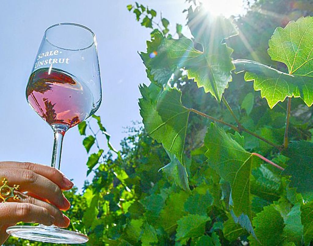 Saale-Unstrut im Glas.