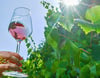Saale-Unstrut im Glas.
