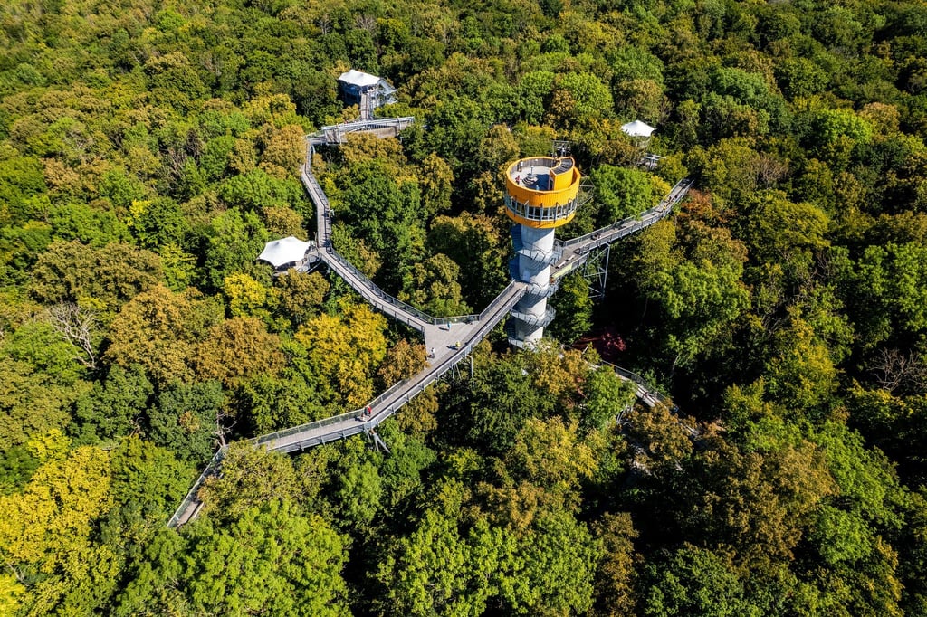 Besucher können entlang des 540 Meter langen Pfads durch die Baumwipfel im Nationalpark schlendern.