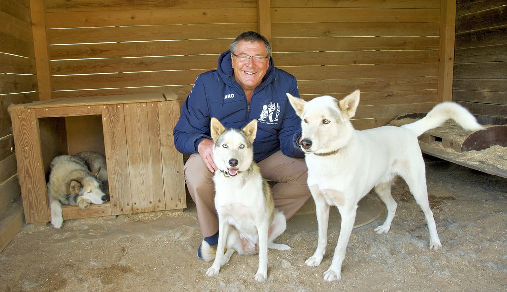 Knut Kießling präsemtiert stolz drei seiner sibirischen Huskys: Zelko, Caya und Ligabue (v.l.n.r.).