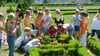 Kleine Botaniker auf Entdeckertour: Im Barockgarten der Ökoschule in Hundisburg in der Börde untersuchen Kinder Blumen, Blätter und Blüten.