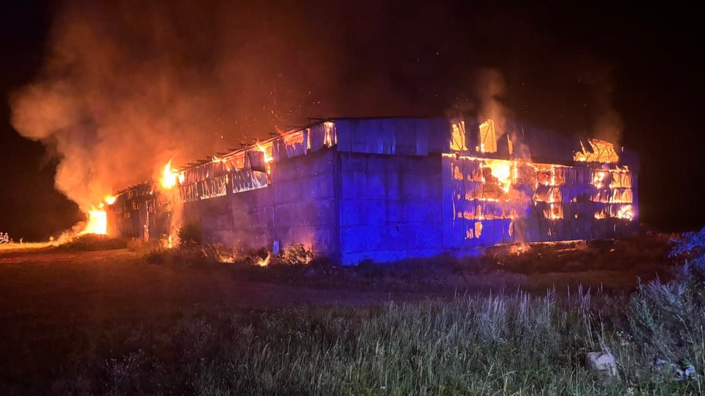 Eine Lagerhalle ist in Coswig abgebrannt.