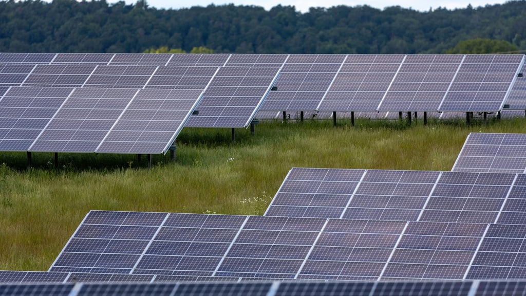 Säumen künftig großflächig Solarmodule die B 187a zwischen Zerbst und Bias?