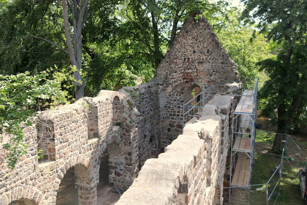 Noch sprießt aus einigen Mauern der Ruine das unliebsame Grün.