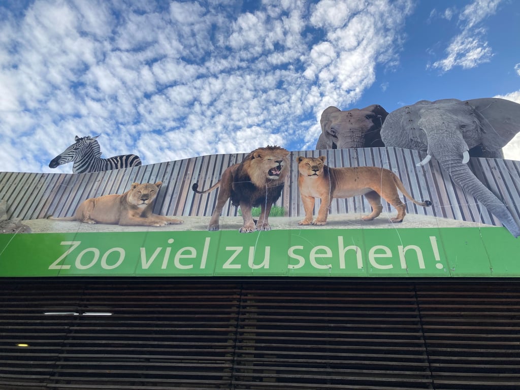 Blick auf das Parkhaus am Bergzoo. Die städtische GmbH hat im Geschäftsjahr 2024 ein Minus gemacht.