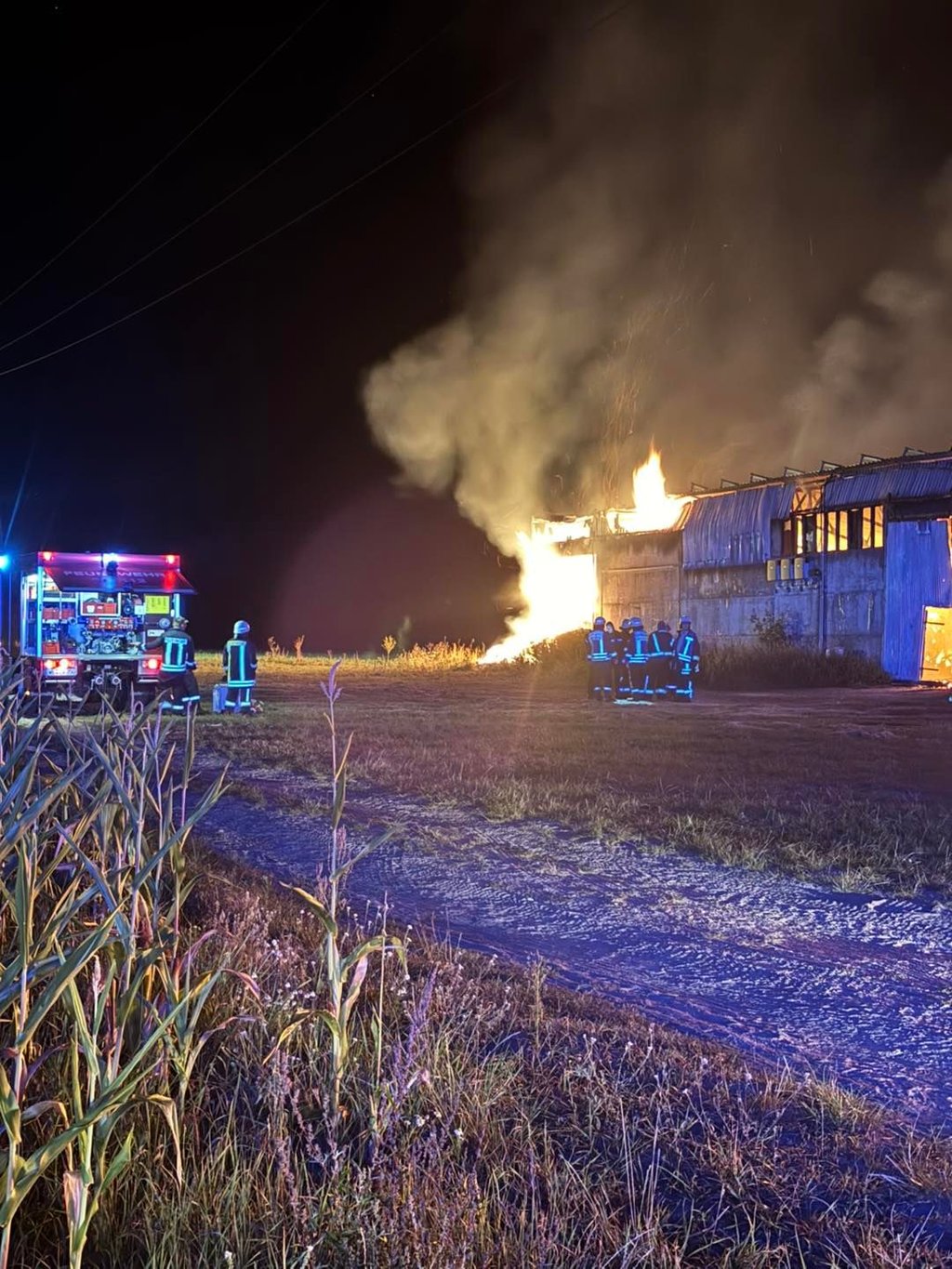 Die Feuerwehr bei den Löscharbeiten.