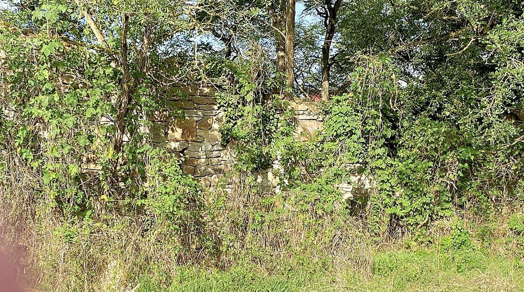Der Blick zur Klostermauer ist nicht überall gegeben.