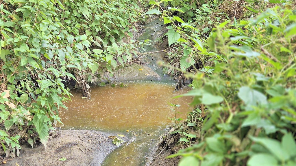 9. Juli 2025: In einem Seitenarm des Speckgrabens in Neuendorf am Speck bei Stendal sammelt sich nach Starkregen ein Gemisch aus Wasser und Gülle.