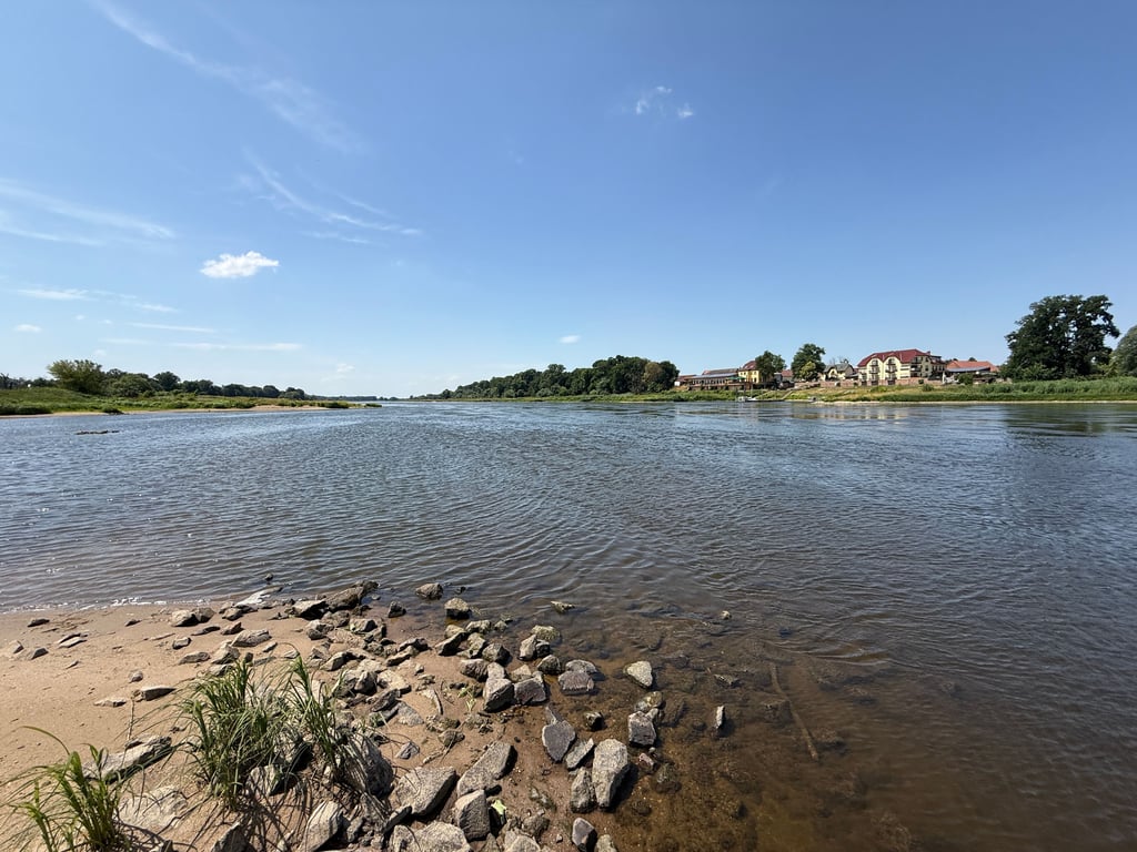 Blick auf die Elbe.