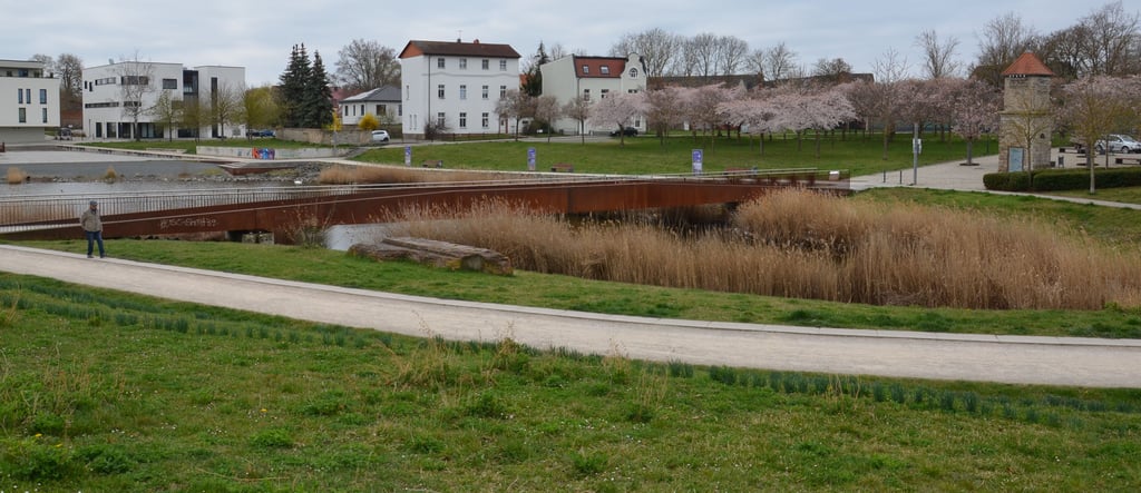 Für manche ist er das schönste Fleckchen von Staßfurt, andere sehen noch viel Raum, ihn schöner zu machen: der Stadtsee (hier im Frühjahr). Einbezogen die Steinstraße hat die AG Innenstadtbelebung erste Verschönerungs-Ideen gesammelt: Was wird umgesetzt?