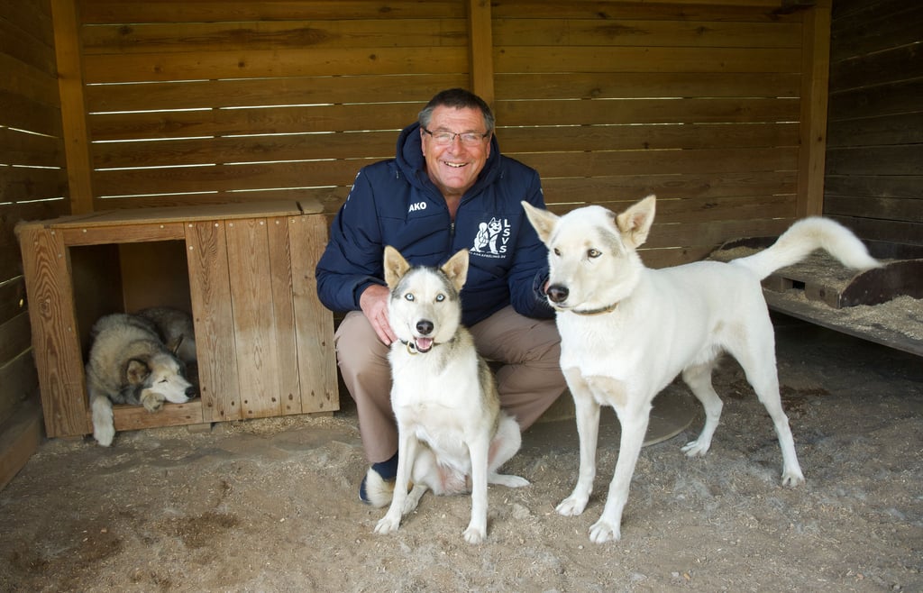 Knuth Kießling bereitet ein Schlittenhunderennen im Dessauer Tiergarten vor. Auf dem Foto ist er mit seinen sibirischen Huskys Zelko, Caya und Ligabue.