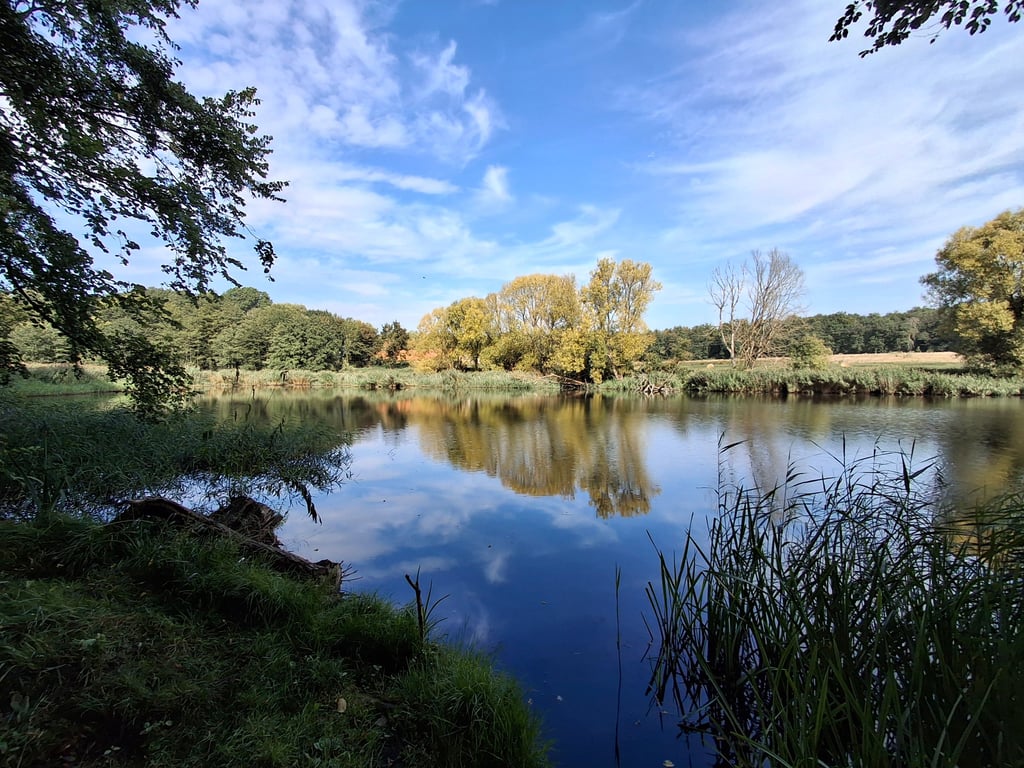 Der Mühlenteich in Bodendorf wird von den Anglern zweimal im Jahr gepflegt.