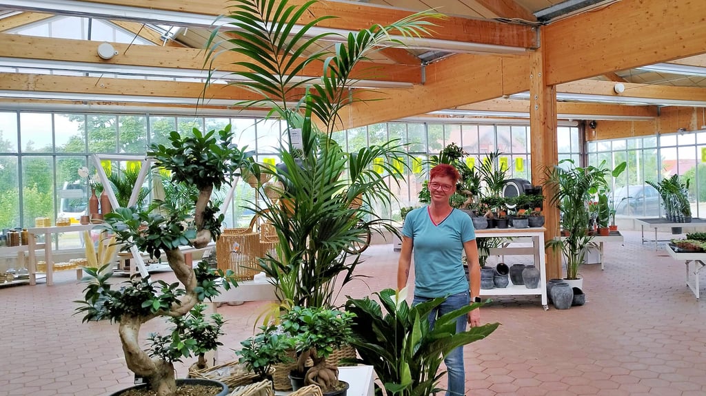 Schierz Blumen: ein Blick in den neuen Standort, wo die Eröffnungsvorbereitungen laufen. Auf dem Foto zu sehen ist die zukünftige Filialleiterin Maxi Baron.