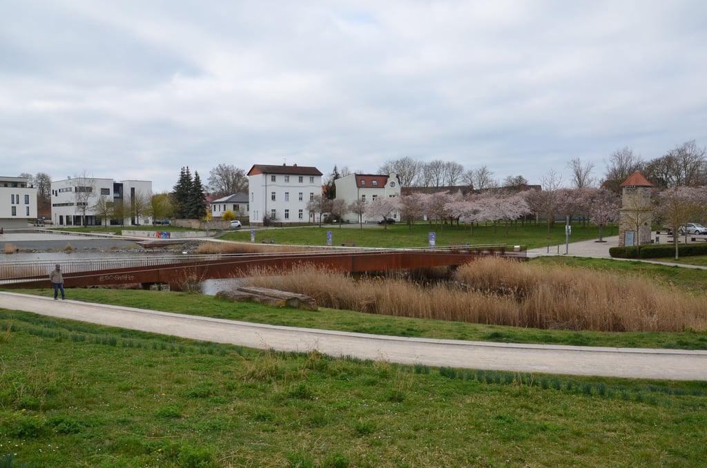 Für manche ist er das schönste Fleckchen von Staßfurt, andere sehen noch viel Raum, ihn schöner zu machen - den Stadtsee (hier im Frühjahr). Einbezogen die Steinstraße hat die AG Innenstadtbelebung erste Verschönerungs-Ideen gesammelt: Was wird umgesetzt? Erinnerungsbilder, ein Fotorahmen, ein Matschspielplatz oder gar die ganzjährige Beleuchtung der Brücke?