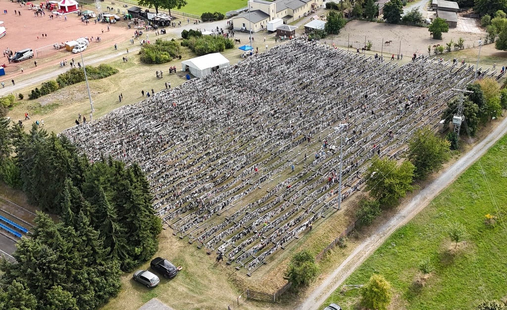 Über 140.000 Socken hängen an der Leine und sollen Thüringen einen neuen Weltrekord beschafft haben. (Archivbild)