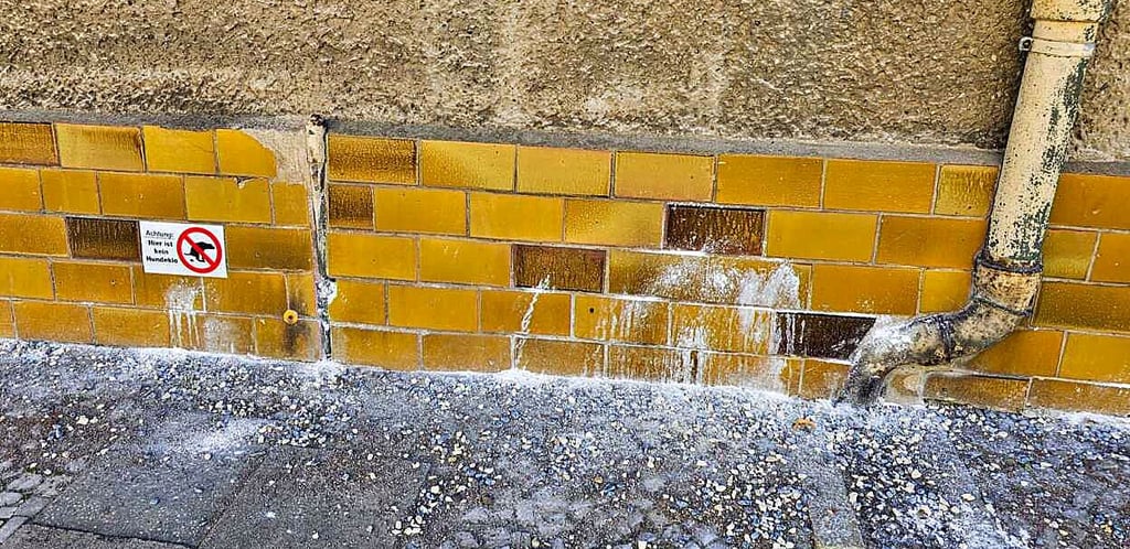 Hundeurin an der Fassade – für einen Bürger aus Burg keine Seltenheit. Nun wird der Rentner kreativ im Kampf gegen unachtsame Hundebesitzer.