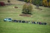 Dieses Foto hat sich bei vielen Deutschen eingebrannt: Flüchtlinge gehen am 27. Oktober 2015 nahe Wegscheid (Bayern) auf einem Feld hinter einem Fahrzeug der Bundespolizei her.