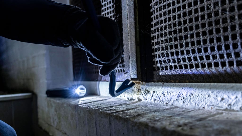 In Halle erwischten Polizisten in der Nacht von Donnerstag auf Freitag Einbrecher.