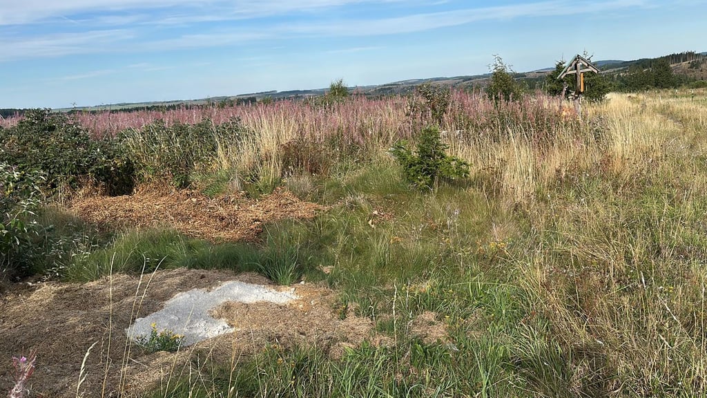 Am Wanderweg Harzer-Höhenvieh-Pfad kommt es seit diesem Jahr vermehrt zu illegalen Müllentsorgungen.