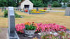 Der Friedhof in Groß Bierstedt gehört der Gemeinde Rohrberg. Auch für diesen soll eine einheitliche Satzung in der Verbandsgemeinde gelten. 