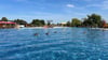 Eine Entenfamilie lebt schon den ganzen Sommer im Erich-Rademacher-Freibad&nbsp;in Magdeburg.