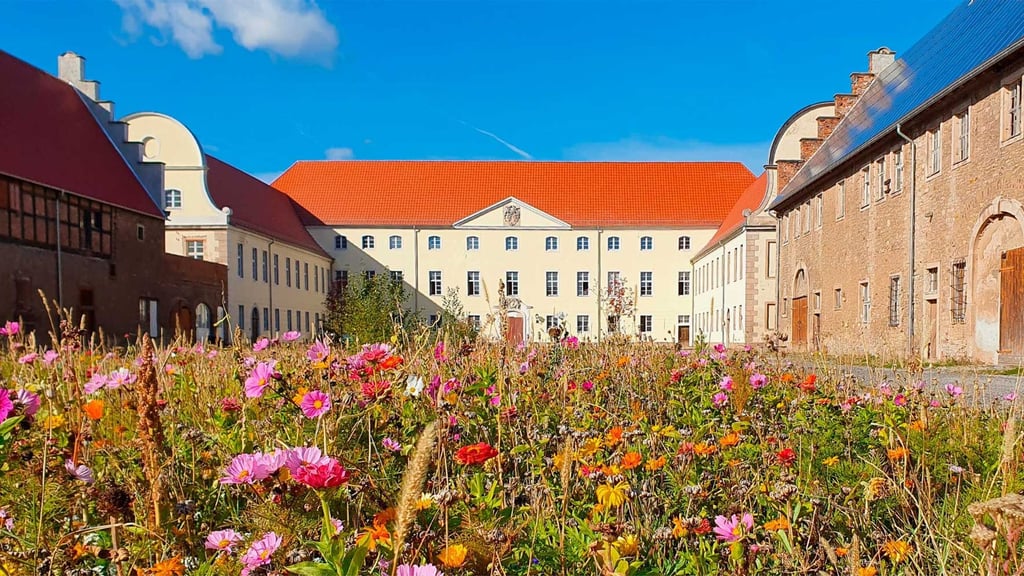 Die Blumenwiese vor dem Sonnenschloss Walbeck bei Hettstedt bietet Lebensraum für zahlreiche Insekten.