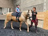 Michaela Krieg aus Königerode bietet auch Hippotherapie an, eine pferdgestützte physiotherapeutische Behandlungsmethode.