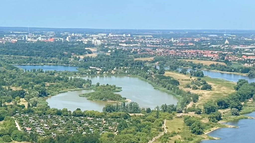 Der Salbker See I in Magdeburg kippt jedes Jahr im Spätsommer um. Nun naht seine Rettung.