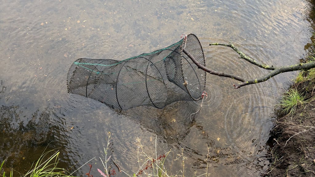 Beim Spazieren fand eine Frau in Haldensleben eine Fischfalle im Wasser.